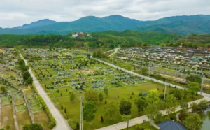 lac hong vien hoa binh 115 1